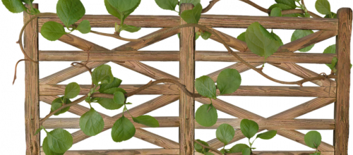 Ѽ Vegetation 