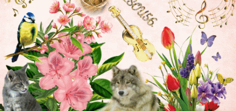 FLEURS MUSIQUE ANIMAUX