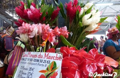 Voyage en Martinique 8 - les splendeurs de l'île