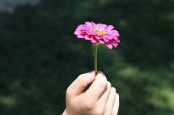 Au jardin 7. 