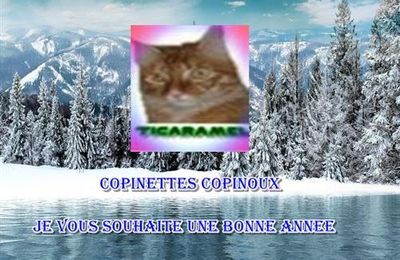 Bonne et heureuse Année .....