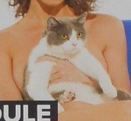 Miaou !