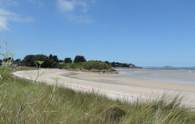 Saint Jacut de la mer (22)