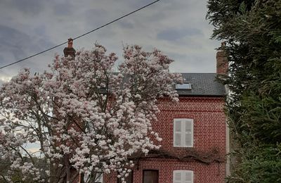 Mes livres du mois d’avril