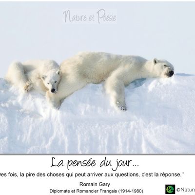 La pensée du jour (275)