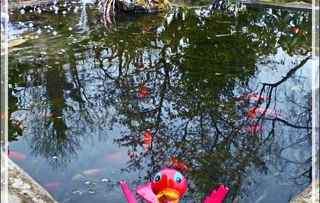 Le nouveau gardien du bassin à poissons - Lartigau - Milhas - 31