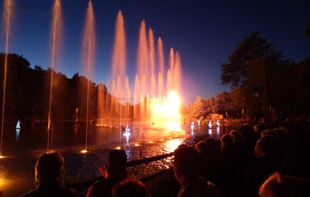 les orgues de feu