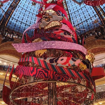 Mon beau sapin roi des forêts....