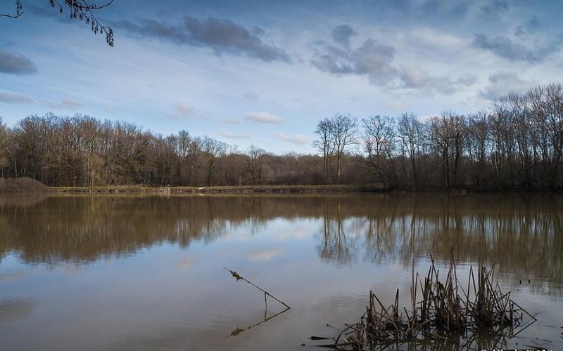 L'appel de la  nature  - 1 -