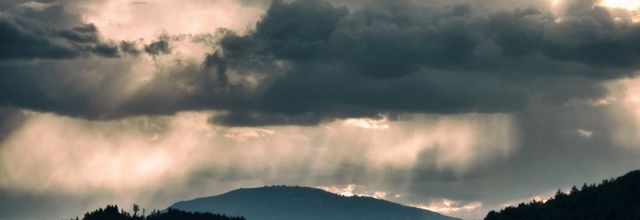 Pluie et orage au Jardin