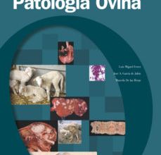 Descargar ATLAS DE PATOLOGIA OVINA LUIS MIGUEL FERRER, JOSE A. GARCIA DE JALON, MARCELO DE LAS HERAS Gratis - EPUB, PDF y MOBI