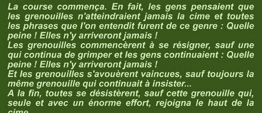 Il était une fois une grenouille