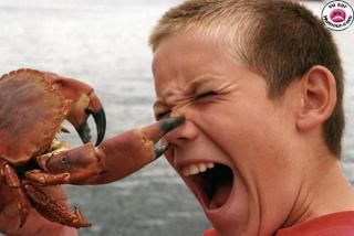 Incidents sur la plage.