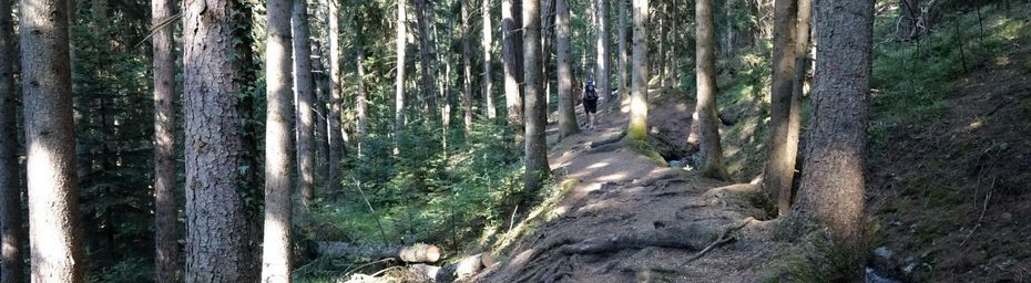 Le Bisse de Torrent-Neuf, un bisse ... aérien