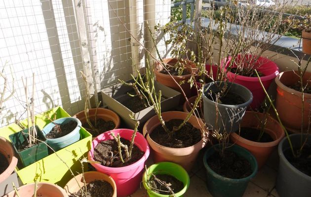 MON BOUDOIR MULTIMEDIA A 8 ANS