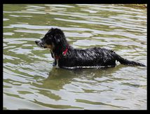A l'eau !