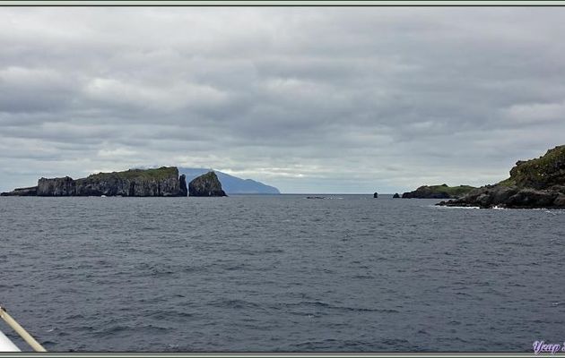 Nous quittons Nightingale Island pour nous diriger vers Inaccessible Island - Tristan da Cunha