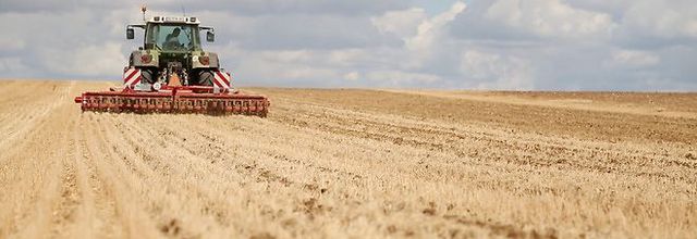 Agriculture : les plans de lutte contre les pesticides inutiles ?
