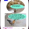 On ne rate pas les conneries humoristiques des "TIOT" le mercredi - 04