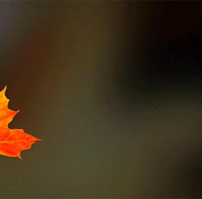 Bon Dimanche en Poésie 2025 !