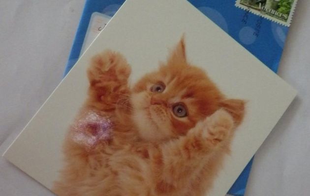 CARTES RECUES
