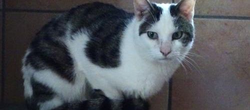 Au refuge avec Cécile