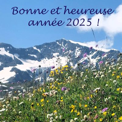 Bonne année