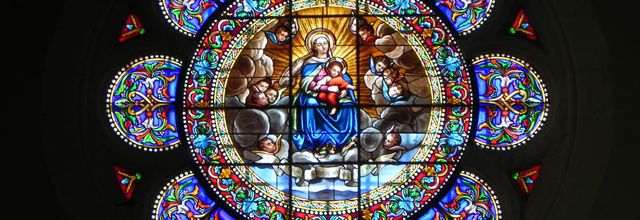 de superbes rosaces à Digoin 