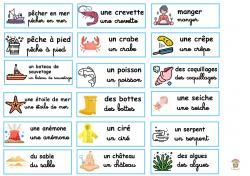 Fleur lexicale de la mer