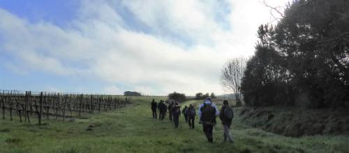 CR / RANDO 15 - SAINTE-RADEGONDE