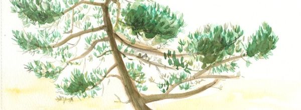 Aquarelle de vacances (8)