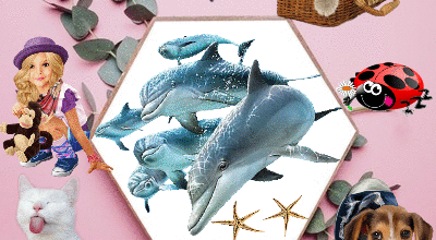 FILLETTE ANIMAUX DAUPHINS
