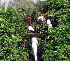 Bouts de rien : un conte de Noël