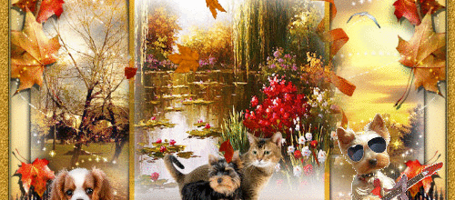 ANIMAUX DANS LA NATURE 