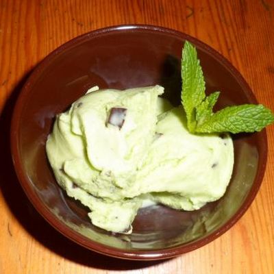 glace menthe fraiche/chocolat ( avec sorbetière)