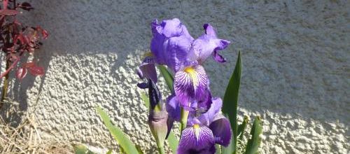 Suite d'une nouvelle journée de confinement