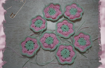 Fleurs bicolores