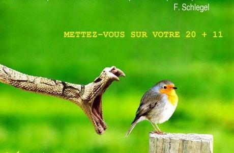 Bons vœux 2011