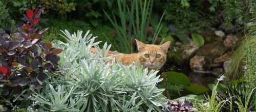 un visiteur inattendu