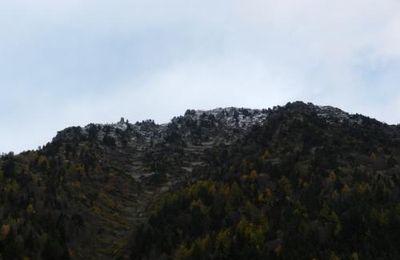 Un dimanche sans voiture