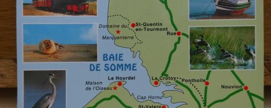 Baie de Somme 1 : Le Marquenterre