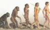 Premier homme – évolution de l’homme – pont canal
