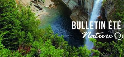 BULLETIN ÉTÉ 2019 - Nature Québec