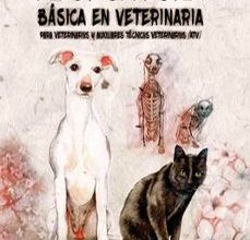 ACUPUNTURA BASICA EN VETERINARIA: PARA VETERINARIOS Y AUXILIARES TÉCNICOS VETERINARIOS (ATV) VICENTE VICENTE CALDERON ePub gratis