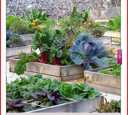 LIEN POUR POTAGER EN CARRE