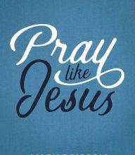 [PDF] Pray LIke Jesus: Learn to Pray to God as Father by Mark Driscoll, Ashley Chase