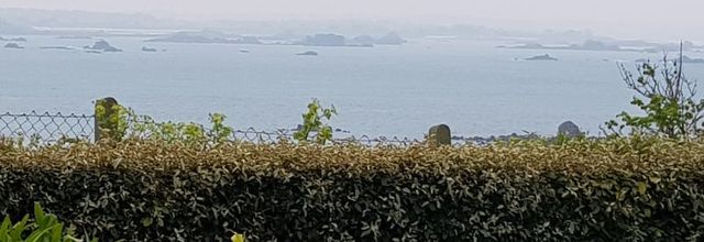 Une semaine à l'ile de Batz chez Zaza avec ma féline - Le jardin colonial - La nécropole