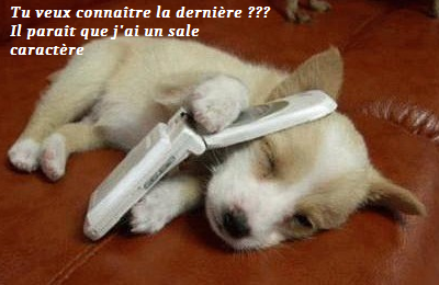 Avoir un caractère de chien