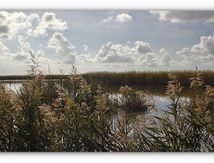 La Camargue Gardoise