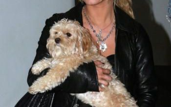 mode fashion jessica simpson